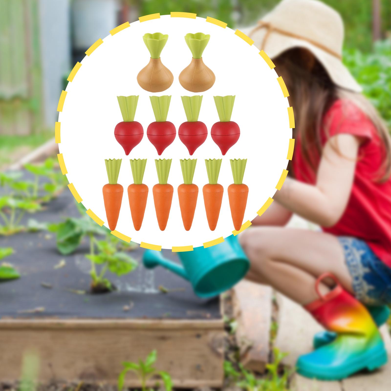 Juguetes de playa cómodos, reg - Kids Unique Outdoor Toys reseña y precio