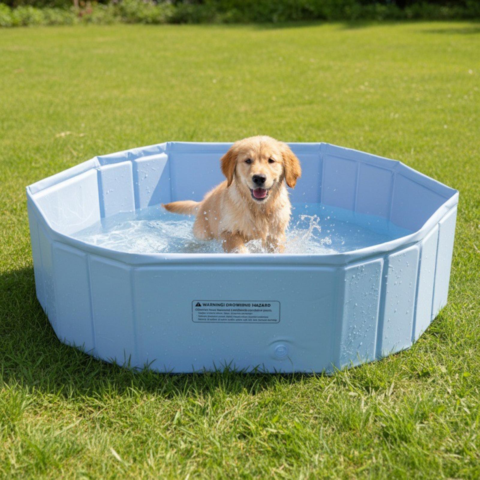 Piscina Plegable para Mascotas - Kids Outdoor Games For Party reseña y precio