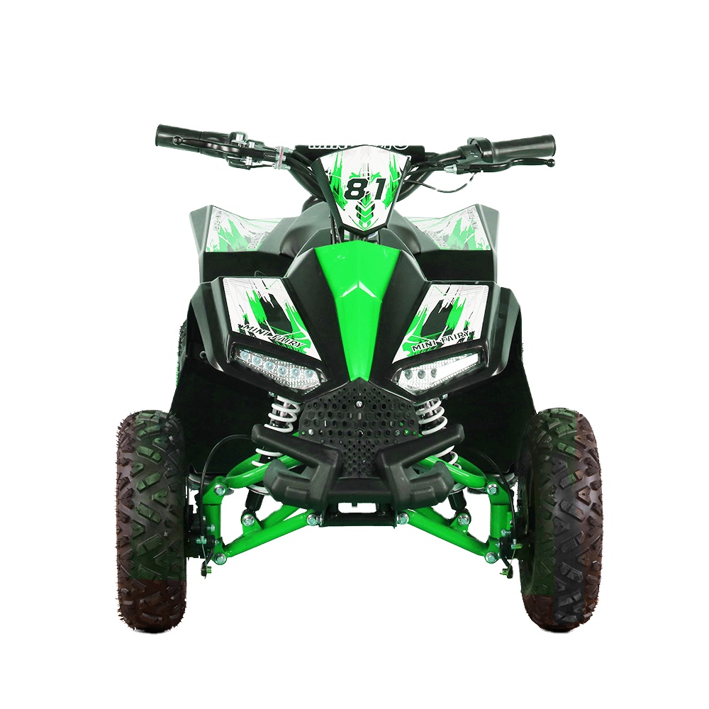 Cuatrimoto Eléctrica para Niño - Kids Outdoor Electric Quad reseña y precio