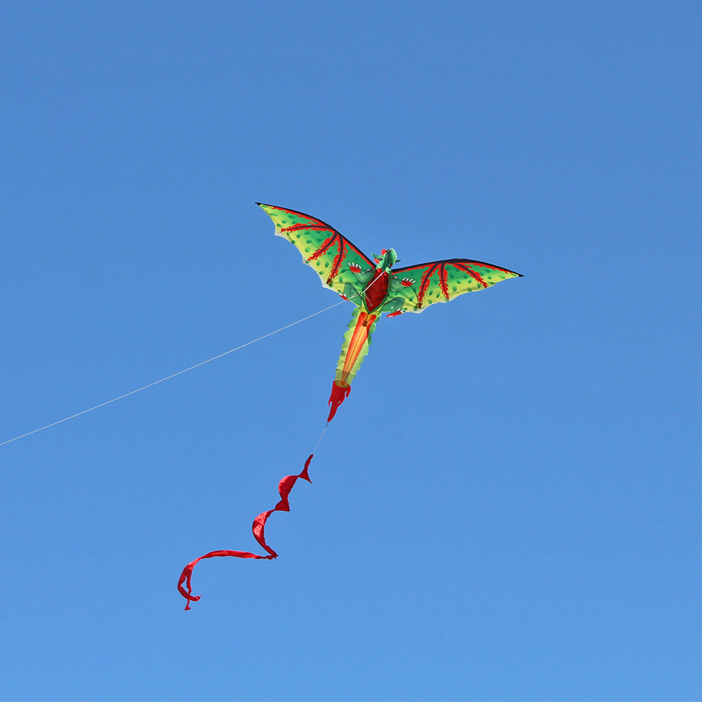 Juguete 3D d-ragon k-ite para  - Kids Unique Outdoor Toys reseña y precio